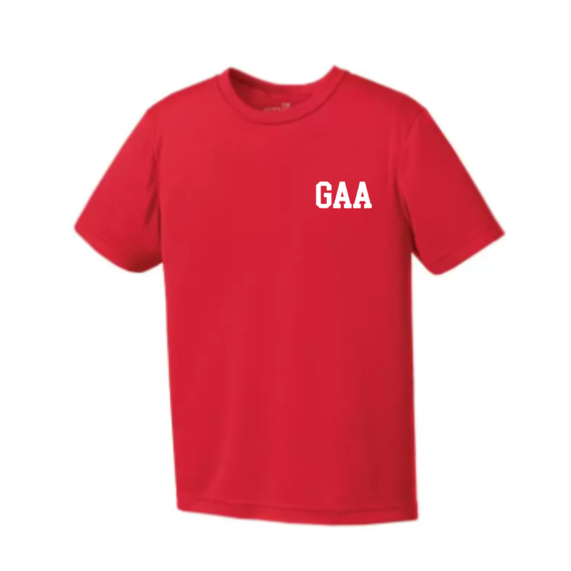 Malliag House T-Shirt (GAA YM)