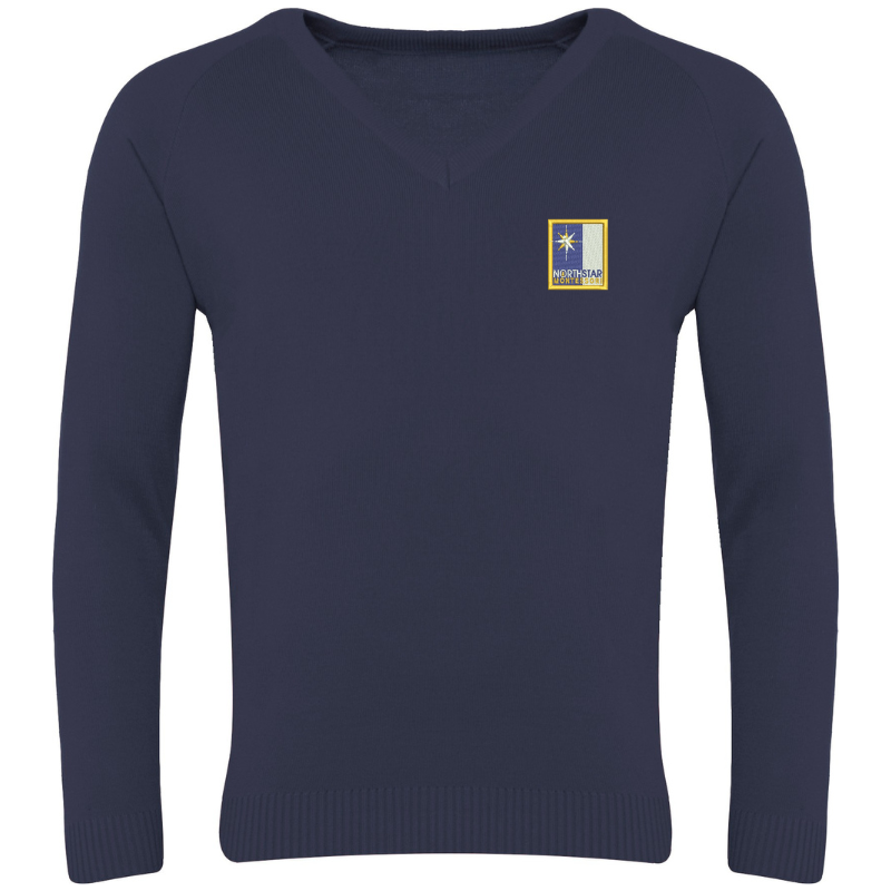NSM Navy V-Neck Sweater (26)