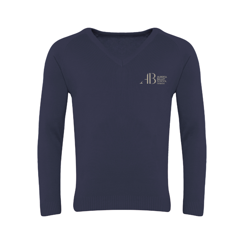 SAB Navy V-Neck Sweater (34)