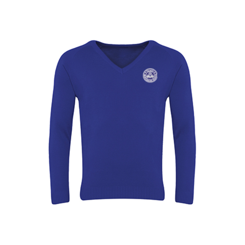 TRI Royal Blue V-Neck Sweater (40)