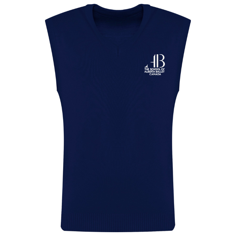 SAB Navy V-Neck Vest 40)