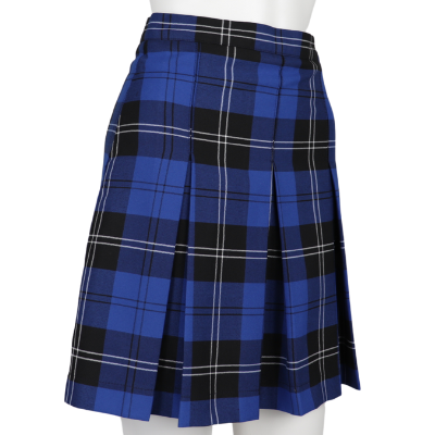 Tartan Pleat Skirt image 1