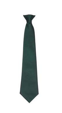 45" Junior Regular Tie - GRN