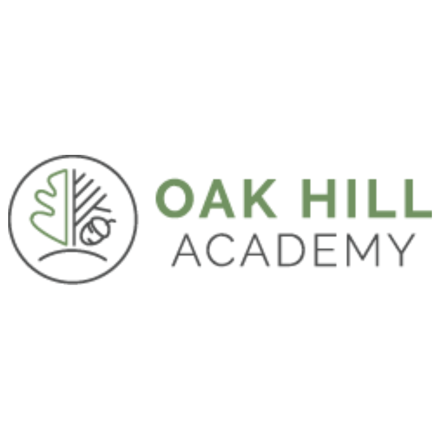 Oak Hill Academy