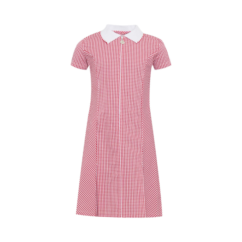 Gingham Dress (10)
