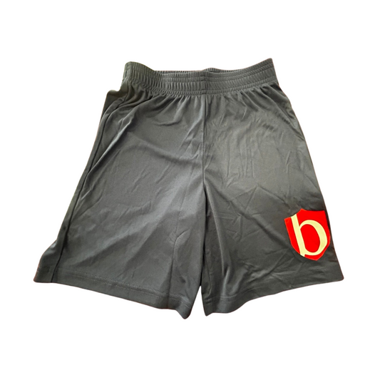 BA0 ATC Gym Short (DISCONTINUED) (AL)