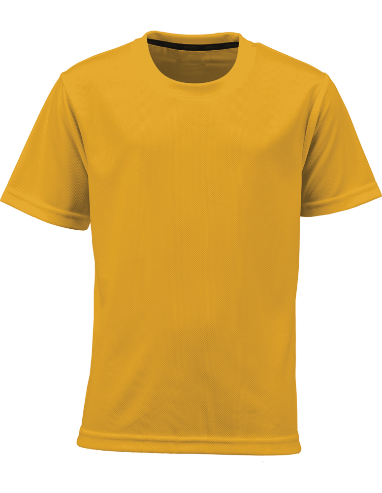 Gold APTUS Core Tee (32)