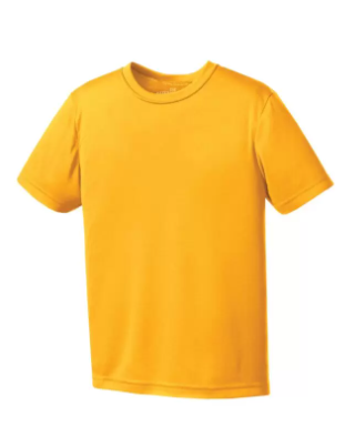 Gold ATC Gym T-Shirt (AL)