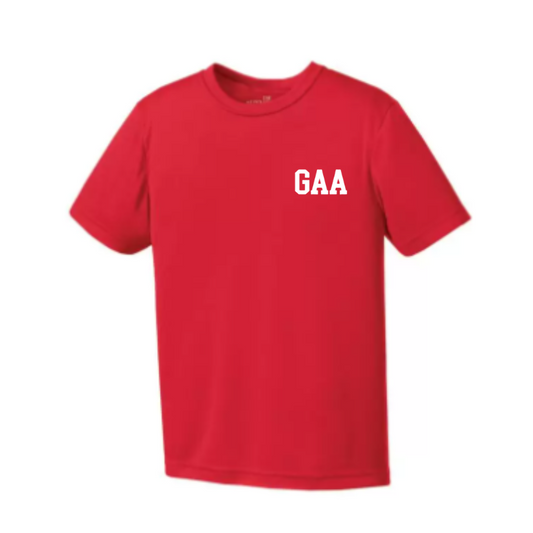 T-shirt de la maison Malliag (GAA AL)