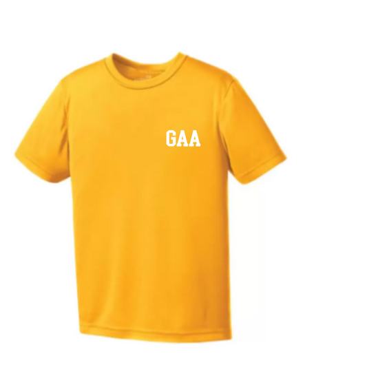 Torrin House T-Shirt (GAA AL)