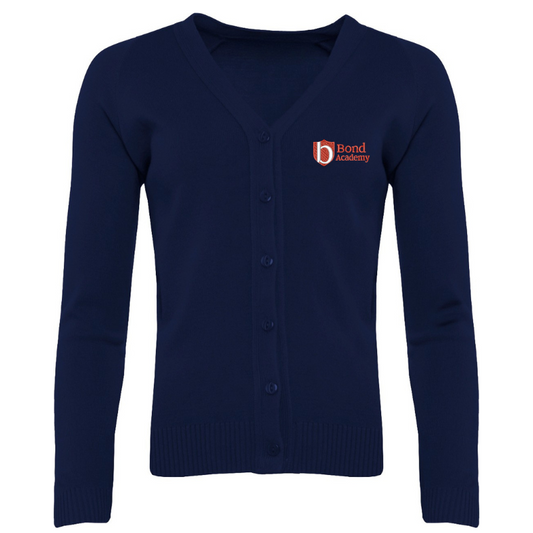 BA0 Navy V-Neck Sweater (46)