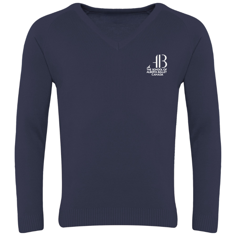 SAB Navy V-Neck Sweater (40)