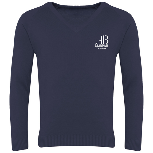 Pull SAB bleu marine à col en V (28)