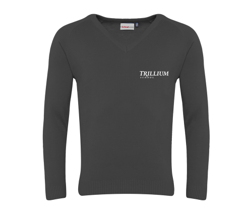 TTS Grey V Neck Sweater (32)