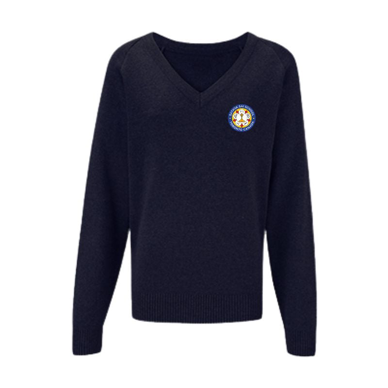 SSS Navy V-Neck Sweater (36)