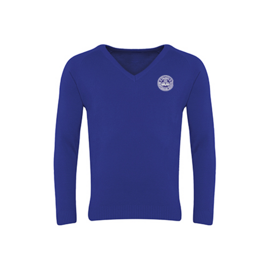 TRI Royal Blue V-Neck Sweater (26)