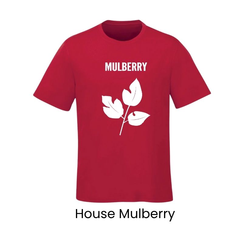 Mulberry House T-Shirt (YM)